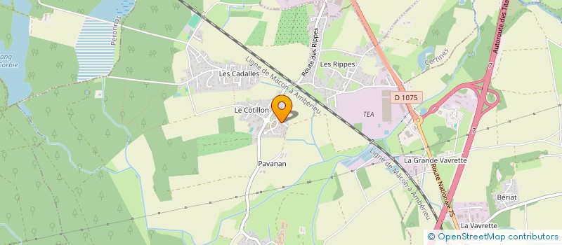 localisation de l'entreprise FELICITA  CERTINES