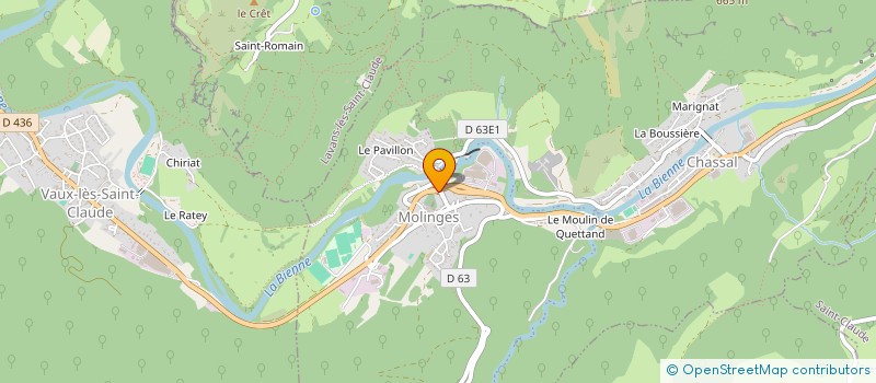 localisation de l'entreprise FELINE  CHASSAL-MOLINGES