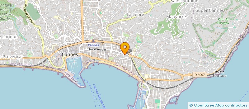 localisation de l'entreprise FELLINI BY LA MUSE  CANNES