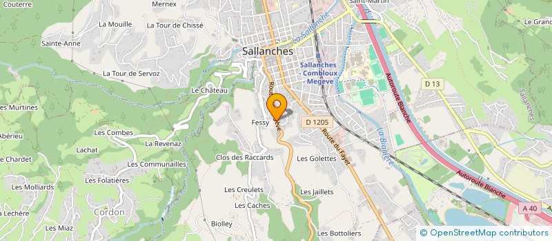 localisation de l'entreprise FEMMES ET ENFANTS DU MONDE à SALLANCHES