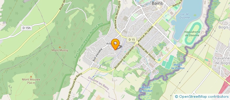 localisation de l'entreprise FERBLANTERIE DIVONNAISE - JORDAN JEAN-FRANCOIS  DIVONNE-LES-BAINS