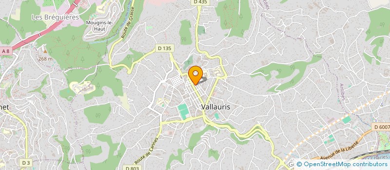 localisation de l'entreprise FERMETURES ALUMINIUM DE PROVENCE à VALLAURIS