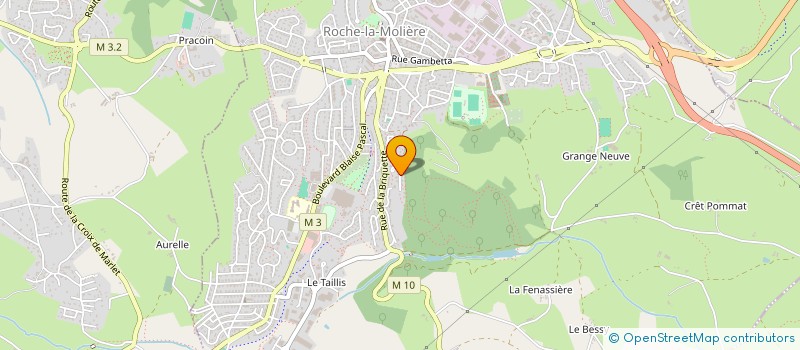 localisation de l'entreprise FERNANDEZ GONZALEZ THANATOPRAXIE à ROCHE-LA-MOLIERE