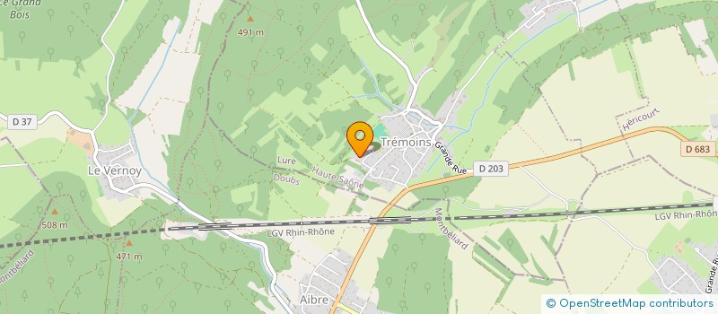 localisation de l'entreprise FERRARIO IMMOBILIER  TREMOINS