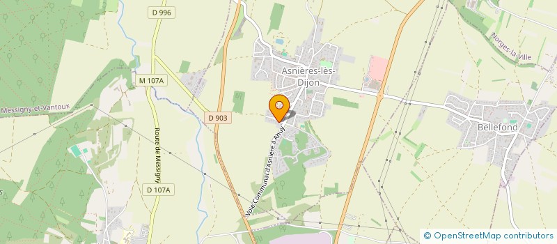 localisation de l'entreprise FESTIV'ASNIERES  ASNIERES-LES-DIJON