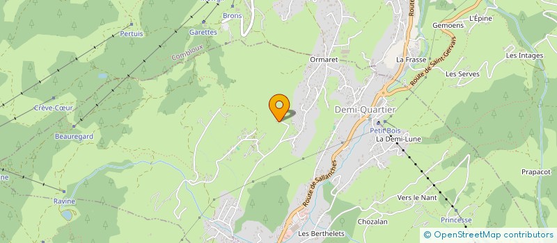 localisation de l'entreprise FESTIVAL DE MEGEVE  DEMI-QUARTIER