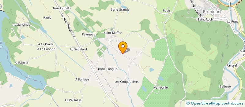 localisation de l'entreprise FESTIVITES ANIMATION ORGANISATION NEGREPELISSE  NEGREPELISSE