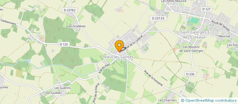 localisation de l'entreprise FESTYKIDS  NIEUL-LES-SAINTES