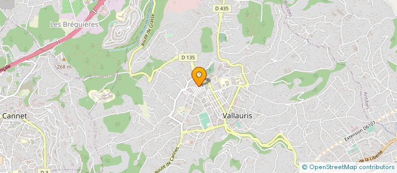 localisation de l'entreprise FEZAI PRO SERVICES à CAGNES-SUR-MER