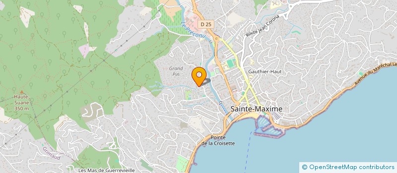 localisation de l'entreprise FFS  SAINTE-MAXIME