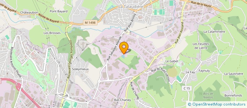 localisation de l'entreprise FG INVESTISSEMENTS à LA TALAUDIERE