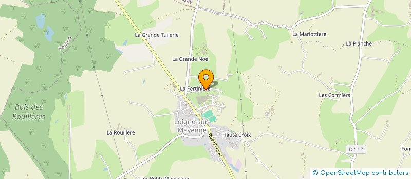 localisation de l'entreprise FHLIMMO  LA ROCHE-NEUVILLE