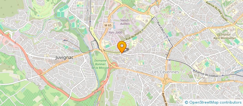 localisation de l'entreprise FI IMPORT-EXPORT  MONTPELLIER