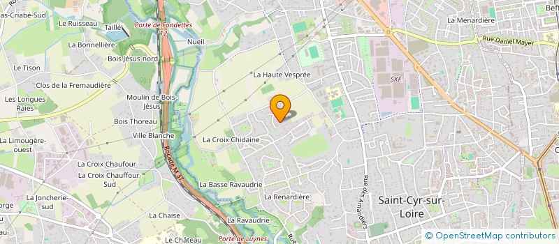 localisation de l'entreprise FIBROMYALGIE AGIR ENSEMBLE  SAINT-CYR-SUR-LOIRE