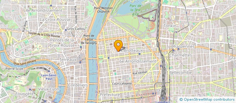 localisation de l'entreprise FIDOIMMO  LYON