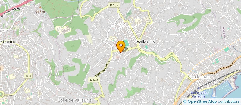 localisation de l'entreprise FIDUCIAIRE B & V  VALLAURIS