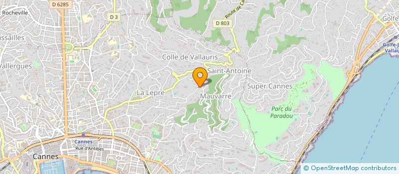 localisation de l'entreprise FIESOLE IMMO  CANNES