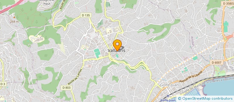 localisation de l'entreprise FILT TER SOUD à VALLAURIS