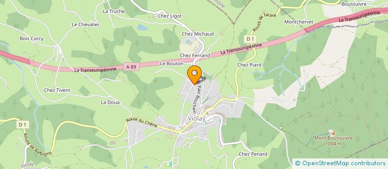 localisation de l'entreprise FIMTEX à BELLEGARDE-EN-FOREZ