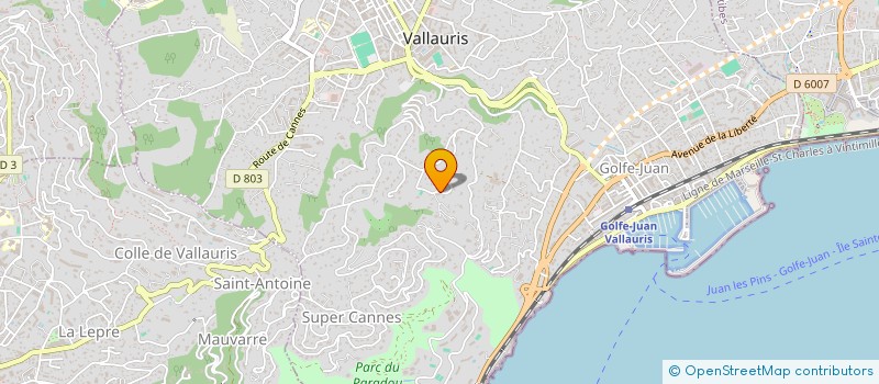 localisation de l'entreprise FINALLIANCE  VALLAURIS