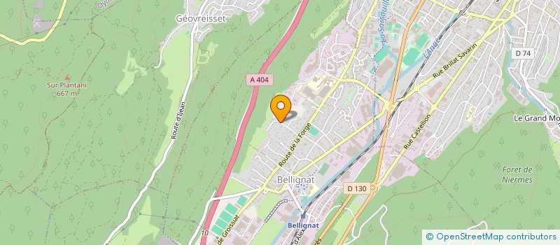 localisation de l'entreprise FINANCIERE ARCA à BELLIGNAT