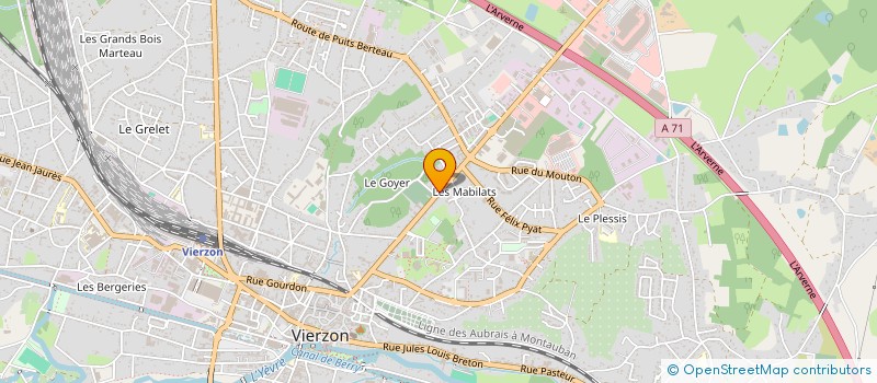 localisation de l'entreprise FINANCIERE CHAMOULAUD à VIERZON