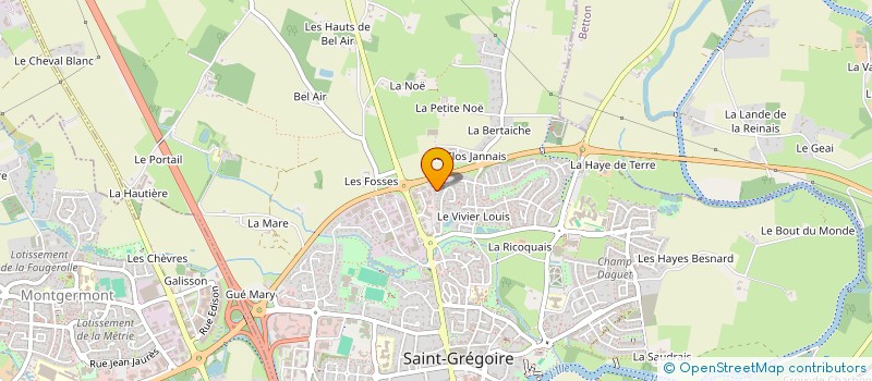 localisation de l'entreprise FINANCIERE DAVID CHEMINEL  CESSON-SEVIGNE