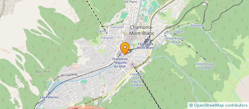 localisation de l'entreprise FINANCIERE DES NEIGES à CHAMONIX-MONT-BLANC
