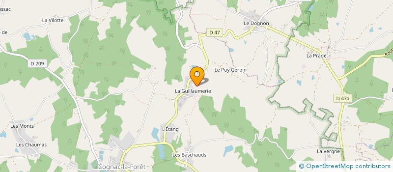 localisation de l'entreprise FINANCIERE N.S. DAVID  COGNAC-LA-FORET