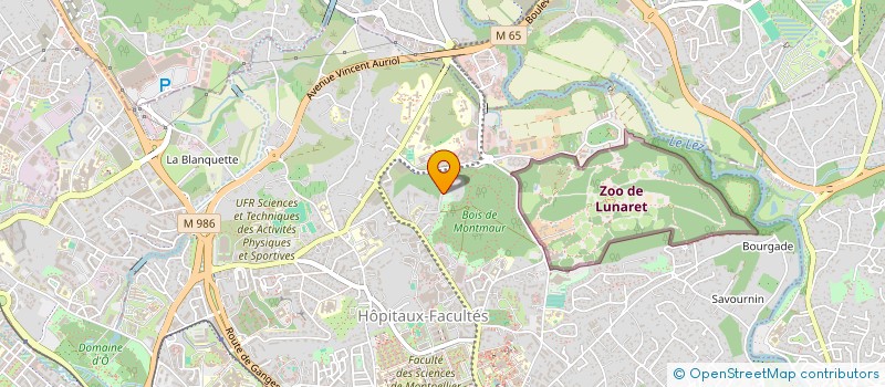 localisation de l'entreprise FINANCIERE THELENE à MONTPELLIER