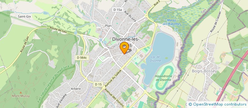 localisation de l'entreprise FINESBULLES MDB  DIVONNE-LES-BAINS