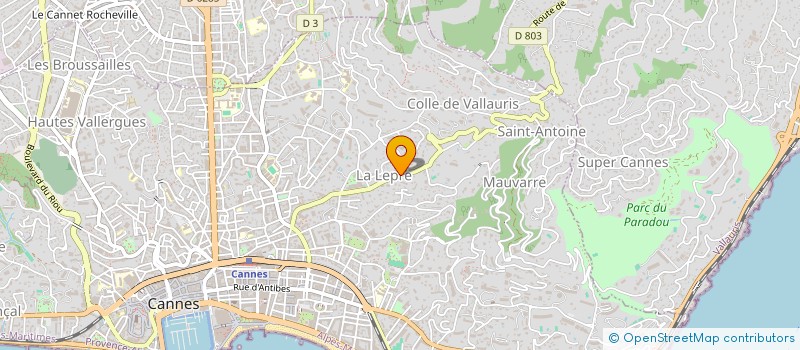 localisation de l'entreprise FIOR à CANNES
