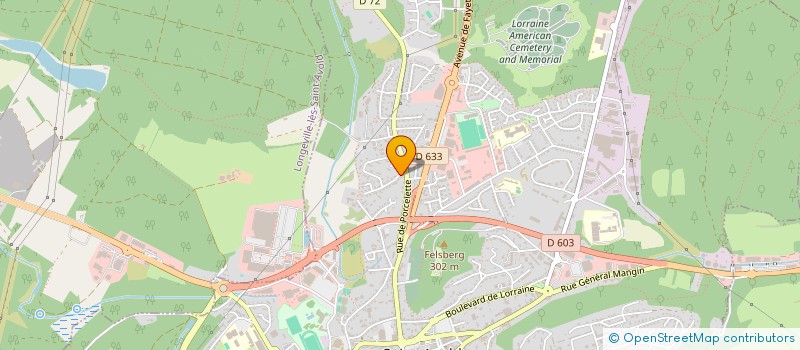 localisation de l'entreprise FIRM IMMOBILIER  SAINT-AVOLD