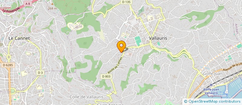 localisation de l'entreprise FIRST VTC  VALLAURIS