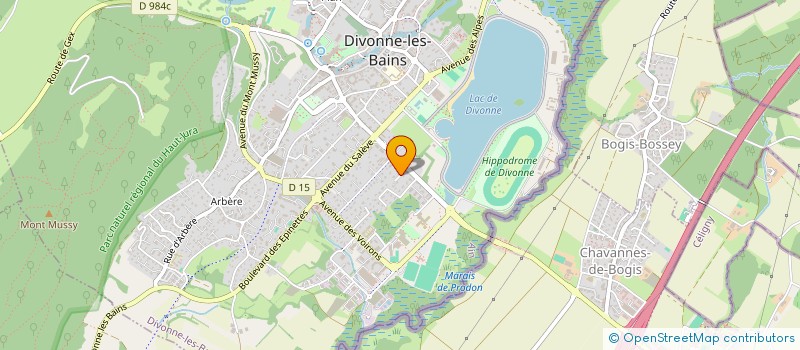 localisation de l'entreprise FISAF FRANCE COMPETITIONS à DIVONNE-LES-BAINS