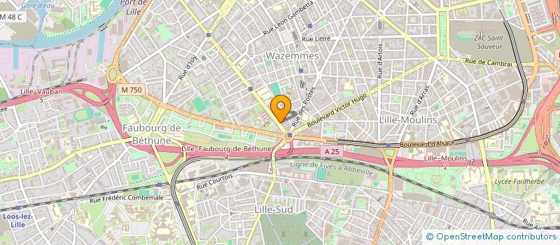 localisation de l'entreprise FISCAPI SERVICES à LILLE