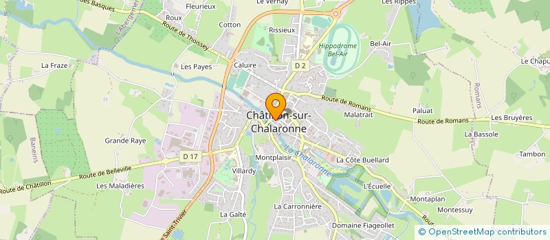 localisation de l'entreprise FISHING SHOP 01  CHATILLON-SUR-CHALARONNE