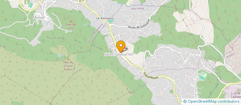 localisation de l'entreprise FJ IMMO  SAINT-SAVOURNIN