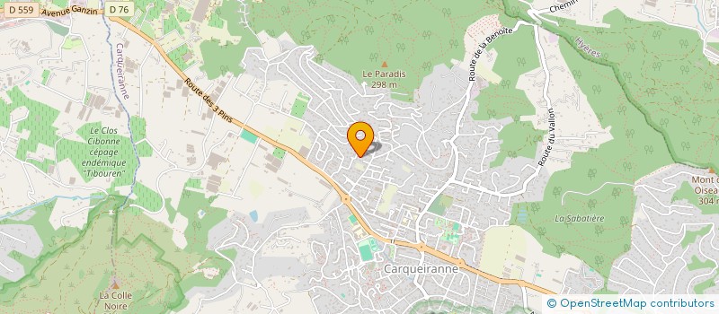 localisation de l'entreprise FLAG FOOTBALL DE CARQUEIRANNE LES FARMERS  CARQUEIRANNE