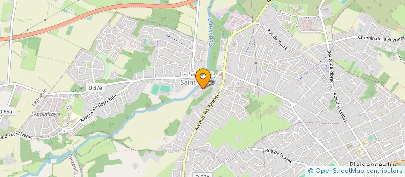 localisation de l'entreprise FLANKER 31  LA SALVETAT-SAINT-GILLES