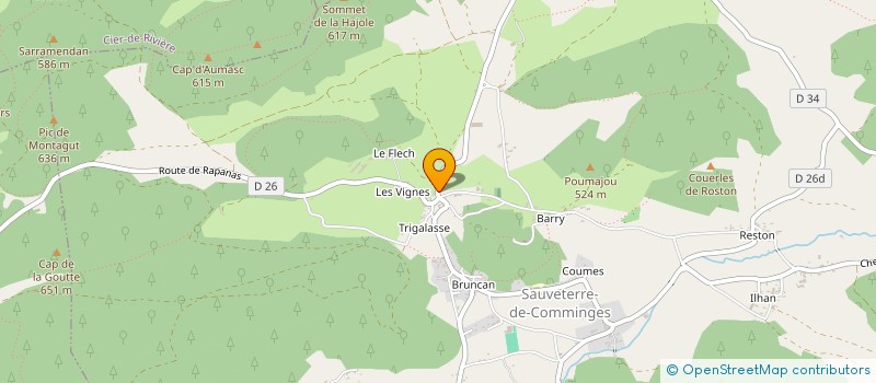 localisation de l'entreprise FLASH SERVICES  SAUVETERRE-DE-COMMINGES