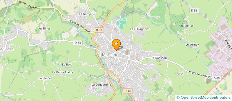 localisation de l'entreprise FLEUR & APPARENCE à MORNANT