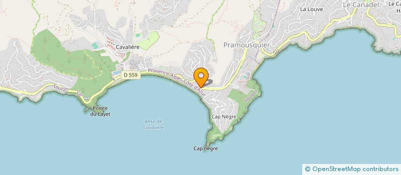 localisation de l'entreprise FLEUR D'ALCONIS à LE LAVANDOU