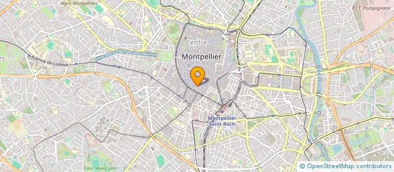 localisation de l'entreprise FLEUR D'O à MONTPELLIER