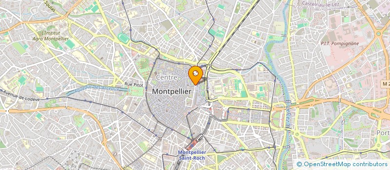 localisation de l'entreprise FLEUR DE BICHE à MONTPELLIER