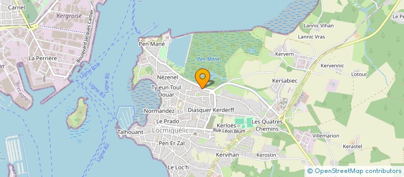 localisation de l'entreprise FLEUR DE LAMPAUL à LOCMIQUELIC