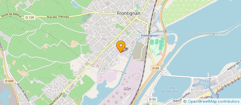 localisation de l'entreprise FLEUR DE LYS à FRONTIGNAN