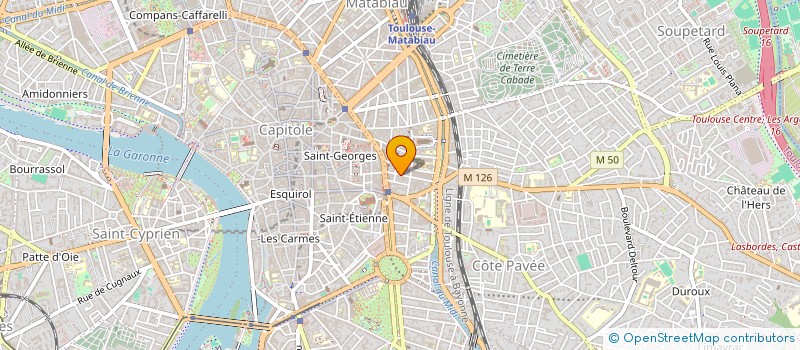 localisation de l'entreprise FLEURANCE  TOULOUSE