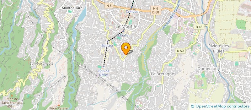 localisation de l'entreprise FLEURIGYM  SAINT-DENIS