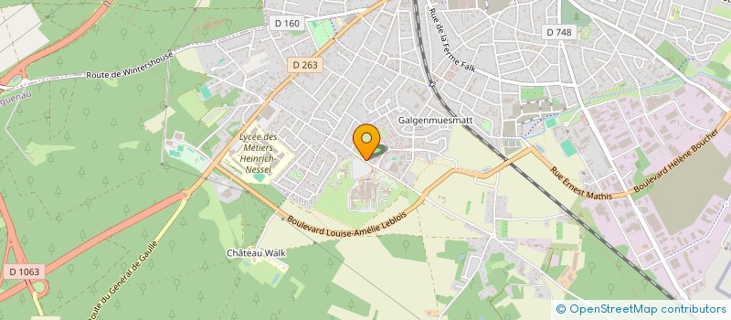 localisation de l'entreprise FLEURS ANASTASIA  HAGUENAU